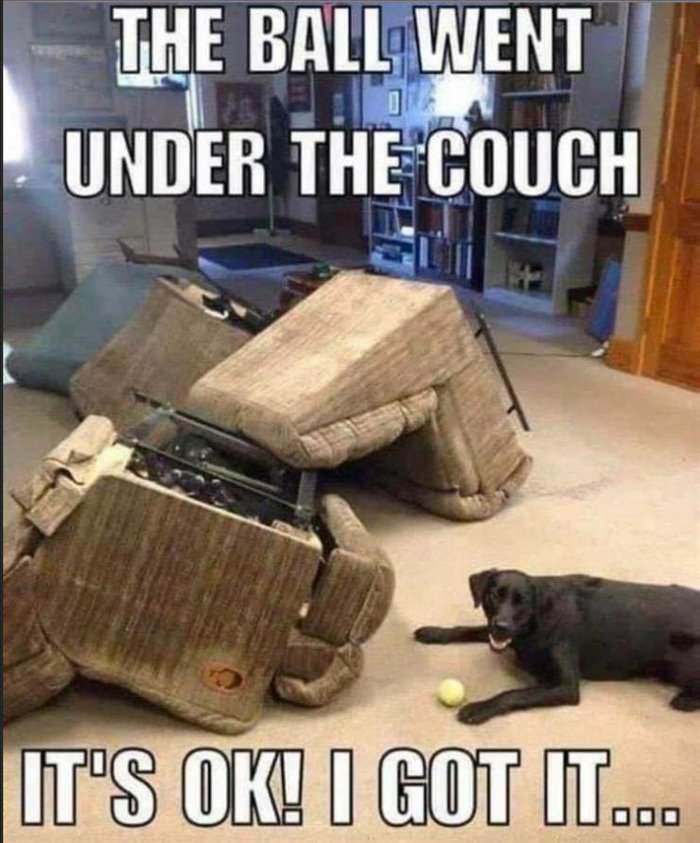 went-under-the-couch.jpg