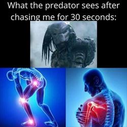 what does the predator see