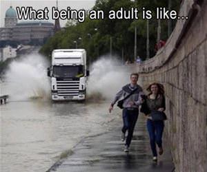 what being an adult is like funny picture