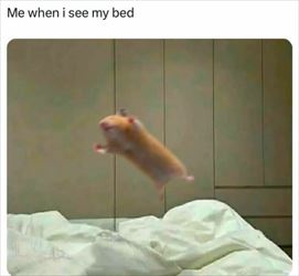 when i see the bed