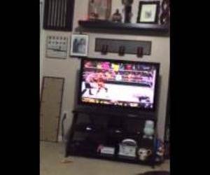 Stings WWE Debut Funny Video