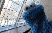 cookie monster profound thoughts Funny Video