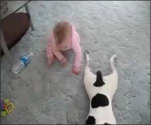 Cute baby and Dog Funny Video