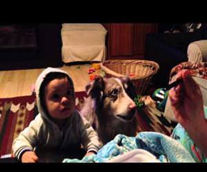 dog says mama before baby Funny Video