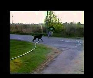 dog sprays down owner with hose Funny Video