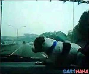 Dog Hates Windshield Wipers