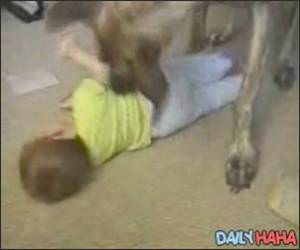 Dog playing with baby