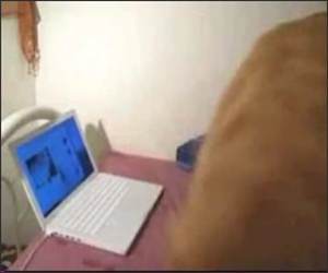 Dog Scared of Laptop