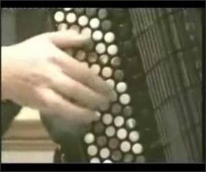 Flight of the Bumblebee on Accordian