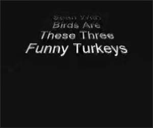 Funny Turkeys