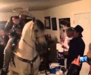 horse house party Funny Video