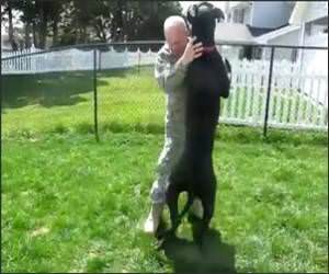 huge dog welcome home Funny Video