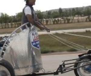 Motorcycle Chariot Funny Video