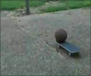 Skateboard basketball Shot